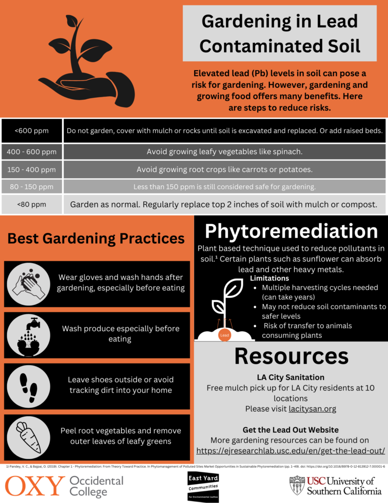 Gardening in Lead Contaminated Soil infographic