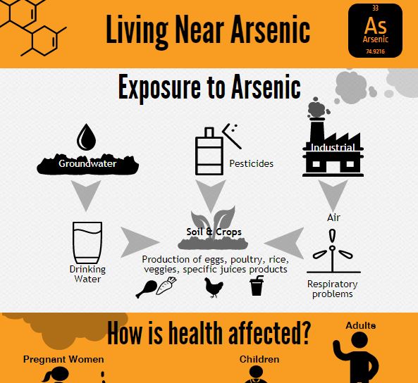 arsenic infographic