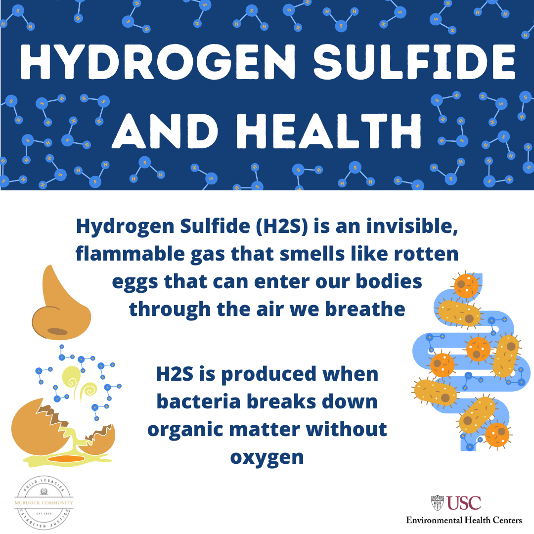 hydrogen sulfide infographic