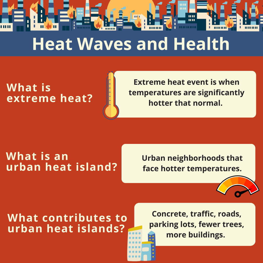 health waves and health infographic