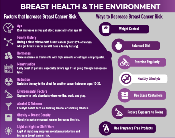breast health and the environment infographic