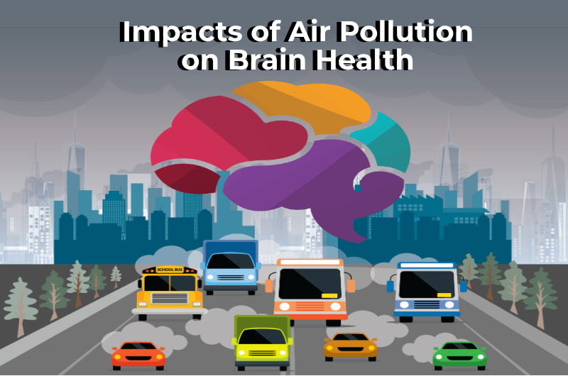 air pollution and brain health graphic
